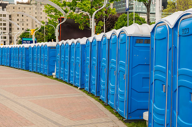 Best Portable Toilets with Baby Changing Stations  in Bowmansville, PA